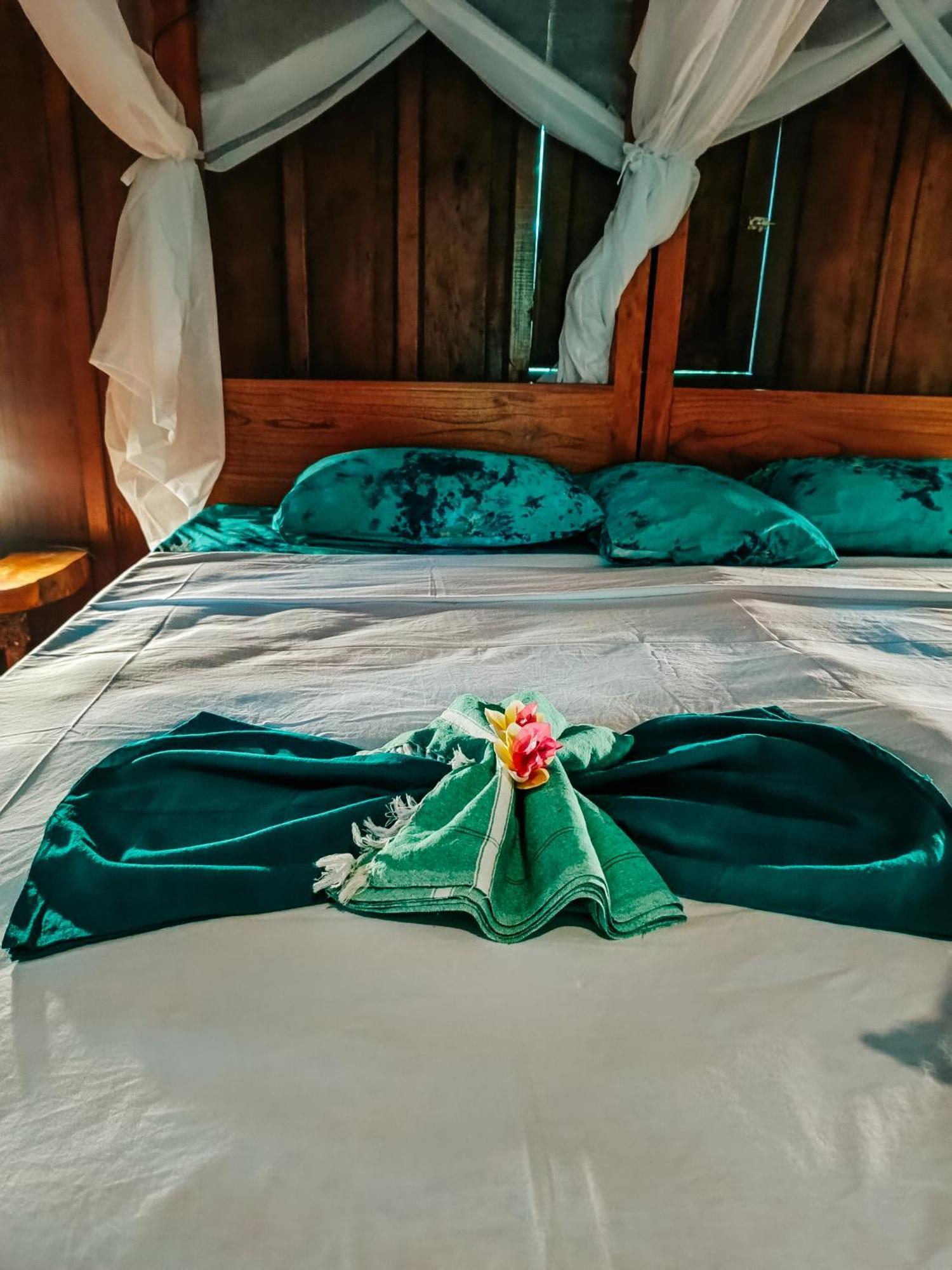 Alaya Ecolodge Pemuteran  Luaran gambar