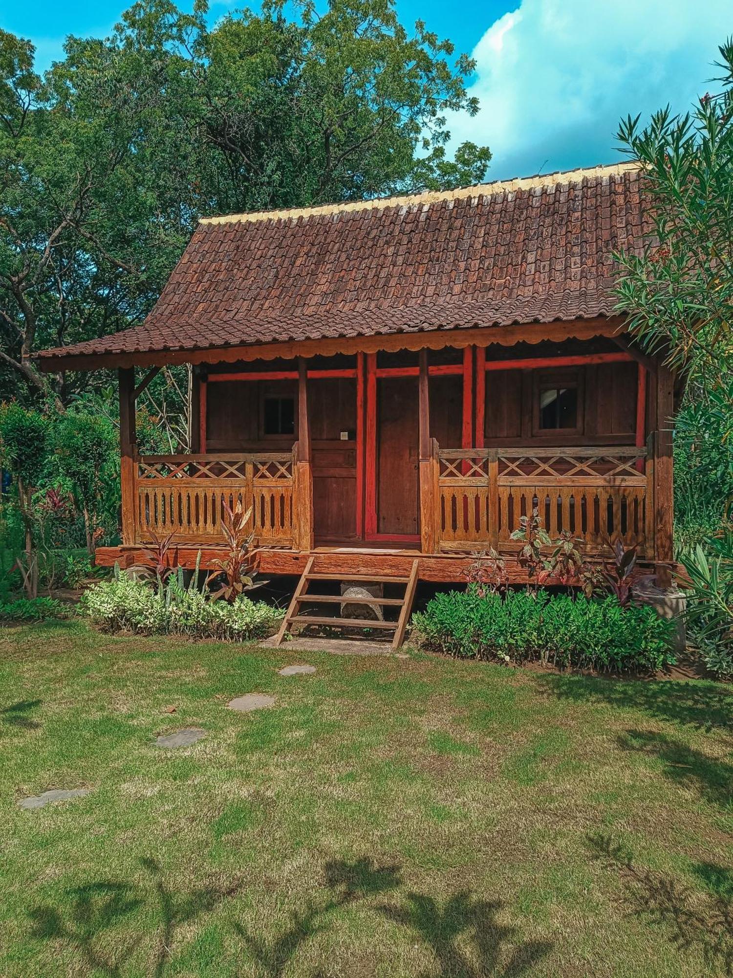 Alaya Ecolodge Pemuteran  Luaran gambar